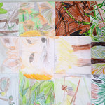 žáci 4.B ZŠ Volary