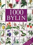 1000 bylin