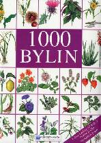 1000-bylin_148x208.jpg