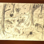 11-12-3-lucie-vitova-12let