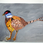 Simona Bednaříková