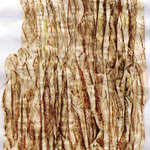 13-15-2-david-petrovic-13le