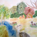 Markéta Pohlodková