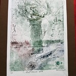 Karolína Paloudová