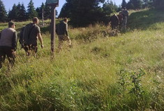 Omezení cyklistů a turistů v Jeseníkách kvůli opravě cesty i těžbě