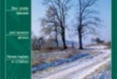 Archív ročníku 2003