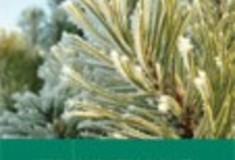 Archív ročníku 2005