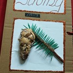 Základní církevní škola České Budějovice