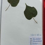 Základní škola Pohůrecká