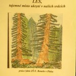 ZŠ Edvarda Beneše, Písek