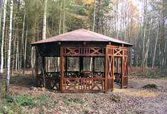 Akce provedené v rámci Programů 2020 a 2000 na revíru Nečemice