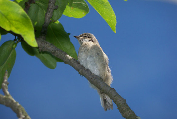 Letní kolo fotografické soutěže