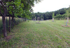 Arboretum lesních a ovocných dřevin Chřibů je od září otevřeno veřejnosti
