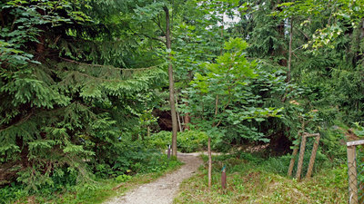 Malé Arboretum Černá Studnice