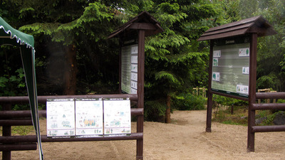 Malé Arboretum Černá Studnice