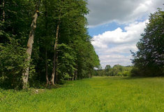 Vzpomínka na jemnickou bažantnici