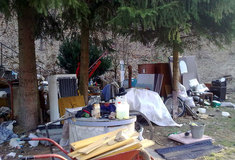 Aby nás návštěva lesa stále těšila, je třeba dodržet pravidla