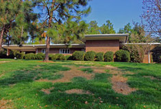 Bezpečnost osob a majetku na „kraji“ lesa