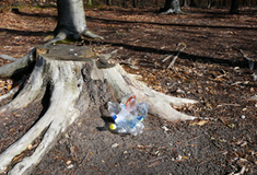 Světový den Ukliďme svět