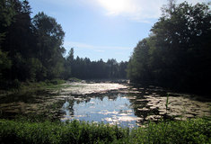 Vodní nádrž Bojanovice – Hubert na Znojemsku prošla zásluhou Lesů ČR kompletní rekonstrukcí