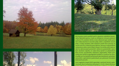 Bojkovice – Světlov