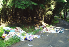 Buďte k&nbsp;lesu ohleduplní