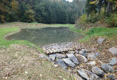 Lesy ČR: Borušovský potok už zase oživuje krajinu