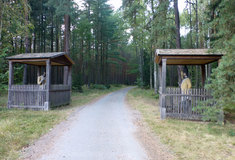 Historické sochy granátníků jsou opět kompletní, lemují je lipové aleje
