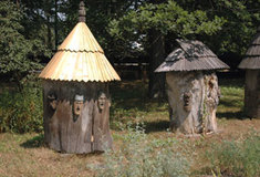 Když lesy voněly medem