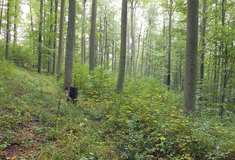 Demonstrační objekt Buchlov