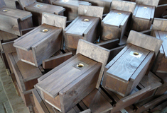 Také ptáci mají svůj den