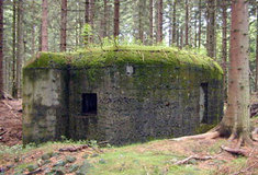 Lesy ČR připravují naučnou stezku zaměřenou na pohraniční opevnění