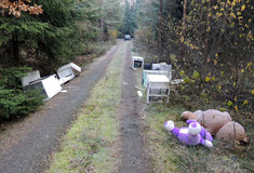 Lesy České republiky podpořily akci Ukliďme Česko