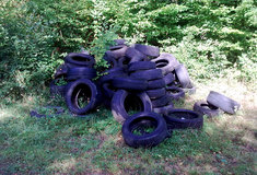 Lesy ČR: černé skládky představují v našich lesích stále velký problém