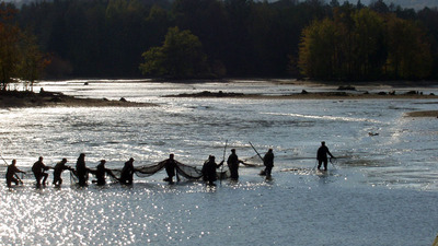 RYBNÍKY V OKOLÍ ČERNÉ VODY