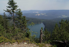 Lesy ve správě Krajského ředitelství Plzeň