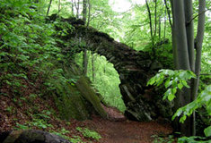 Pojďte s námi na výlet do Litovelského Pomoraví