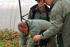 Česko – saská výměna lesnických zkušeností