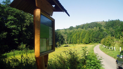 Turistická stezka přes Chlum