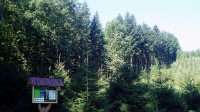 Turistická stezka přes Chlum