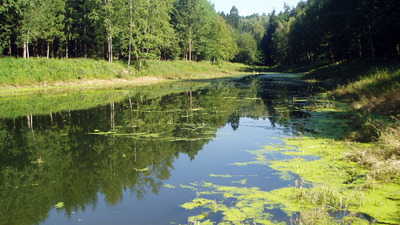 Turistická stezka přes Chlum