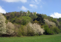 Zakládání a obnova krajinných prvků Chřibů