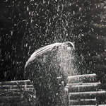 clovek-v-lese-manipulace-dr