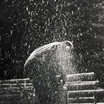 clovek-v-lese-manipulace-dr