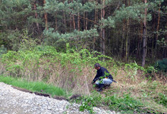 Lesy České republiky letos nabídly práci 285 nezaměstnaným