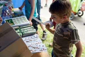 Den s Lesy ČR na Konopišti 34