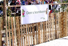 Na náměstí v Jihlavě vyrostl les