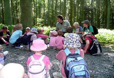 Léto a čas dovolených z pohledu lesníka