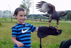 Buřtem a hrou za lepší budoucnost lesů