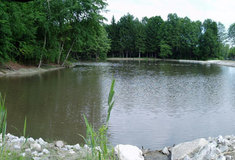 Proslulé severomoravské černovodské rybníky prošly díky Lesům ČR obnovou